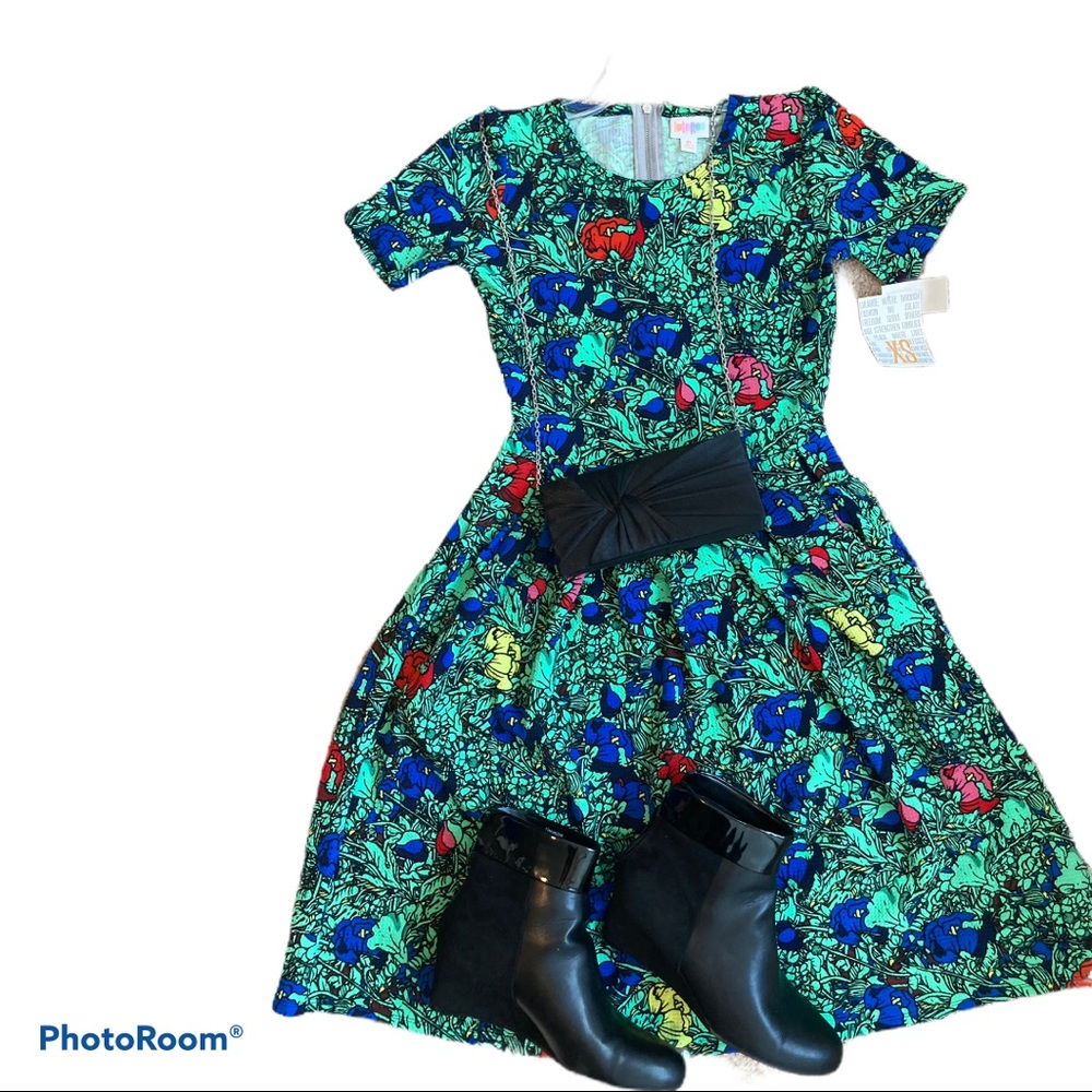 Vintage Rare LuLaRoe Green Floral Amelia Dress NWT
